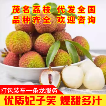 高州妃子笑荔枝产地直销现摘现发（包上车）