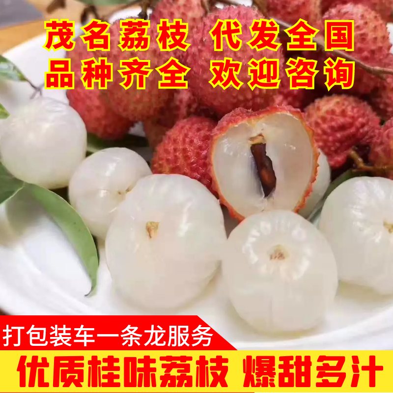 高州桂味荔枝产地直销现摘现发支持一件代发、整车发货