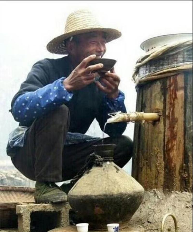 陕南镇安古法甘蔗酒