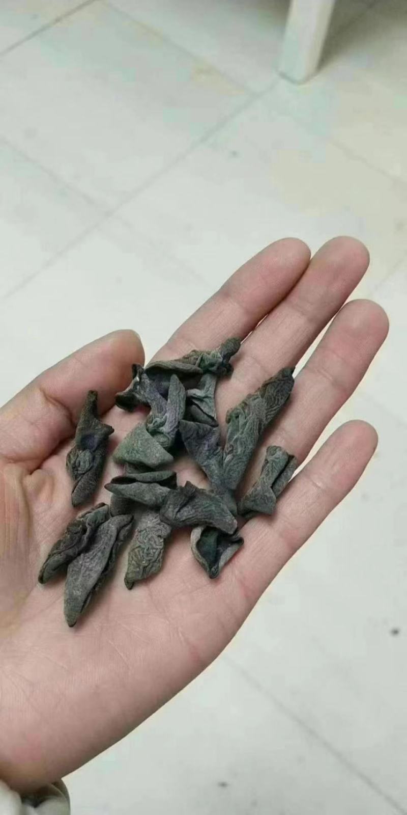 东北小木耳黑木耳跑江湖地摊产品水洗木耳干货碗耳批发产地
