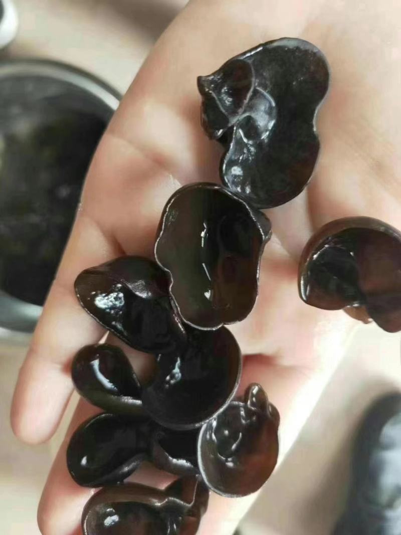 东北小木耳黑木耳跑江湖地摊产品水洗木耳干货碗耳批发产地