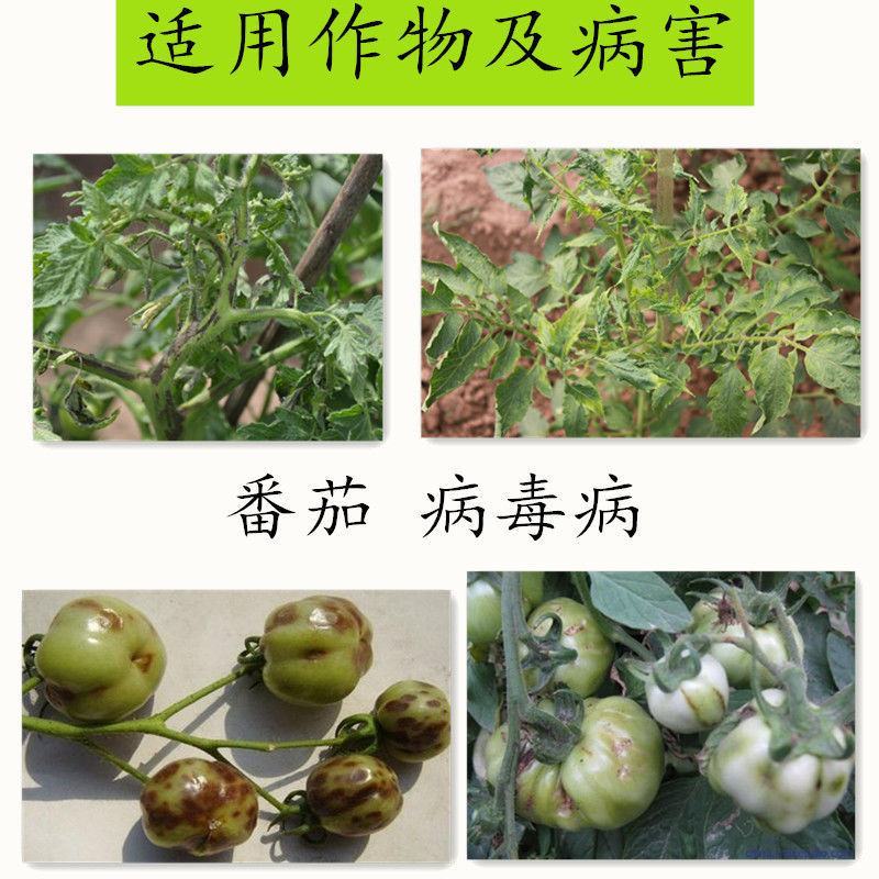 80%盐酸吗啉胍病毒病专用杀菌剂辣椒番茄蔬菜等