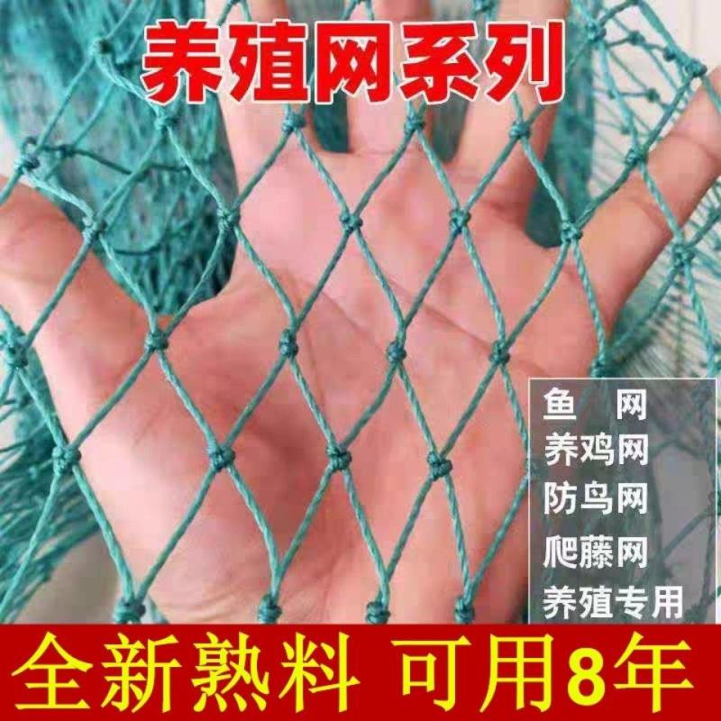 养鸡网尼龙网家禽养殖网围鸡网围栏网塑料防护网山鸡网菜园网