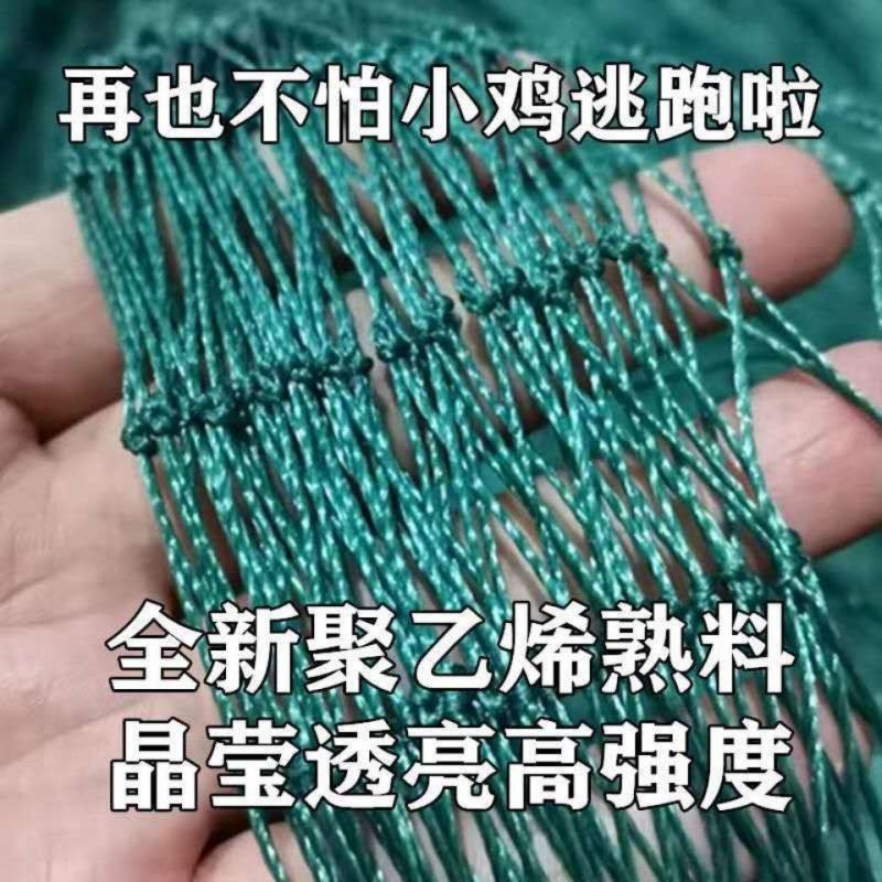 养鸡网尼龙网家禽养殖网围鸡网围栏网塑料防护网山鸡网菜园网