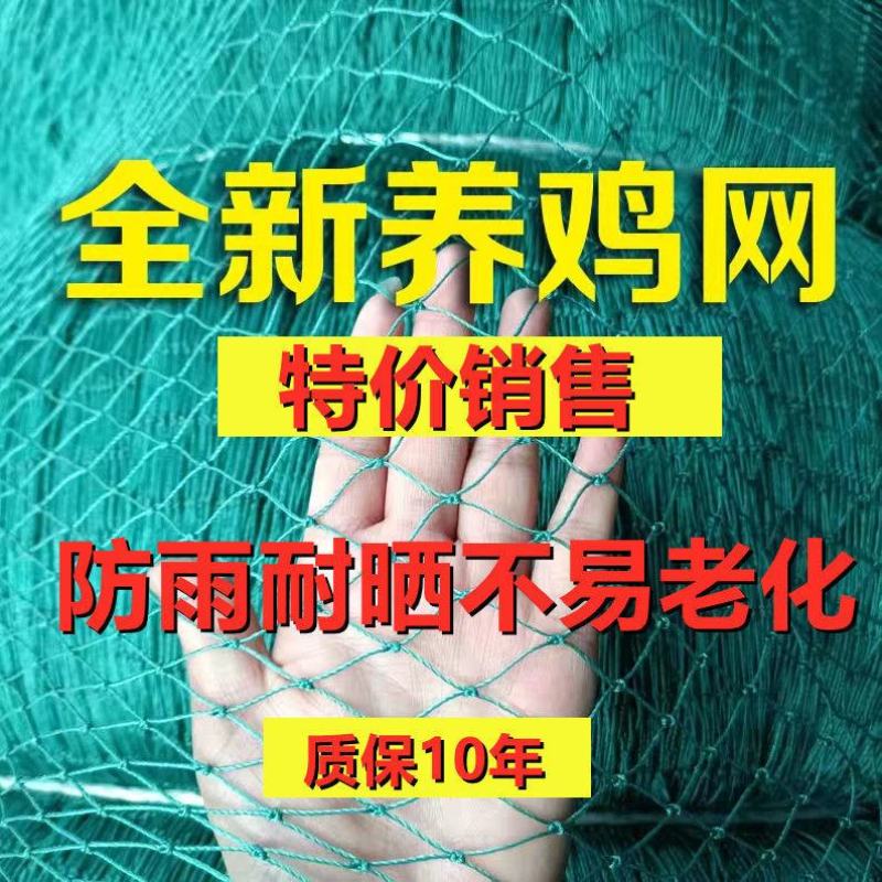 养鸡网尼龙网家禽养殖网围鸡网围栏网塑料防护网山鸡网菜园网