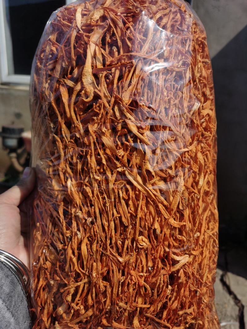 鲜虫草花下单现场采摘打包发货质量保证颜色漂亮