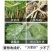 (厂家直发)沪联苯甲嘧菌酯纹枯病蔓枯病叶斑病白粉病杀菌剂