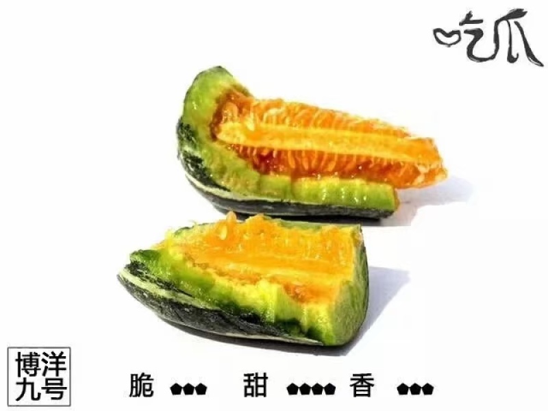 鲁厚甜，精品鲁厚甜，个头均匀，皮毛好，口感好糖度杠杠的
