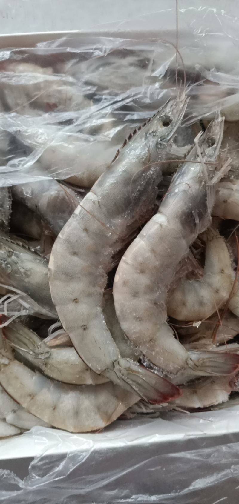 大虾，国产大虾，进口大虾