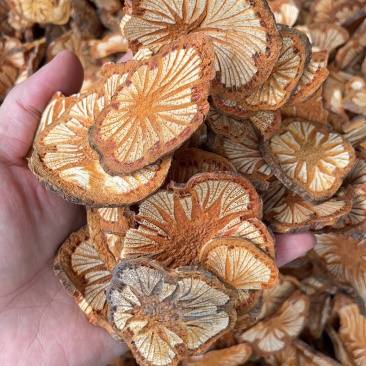 野生中药材红藤大血藤新鲜干货无硫熏蒸。