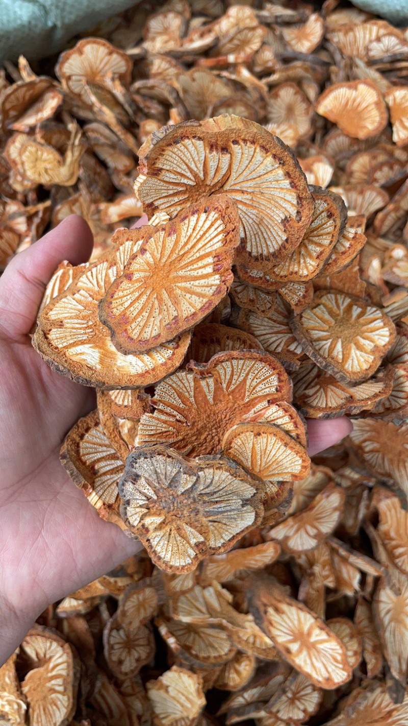 野生中药材红藤大血藤新鲜干货无硫熏蒸。