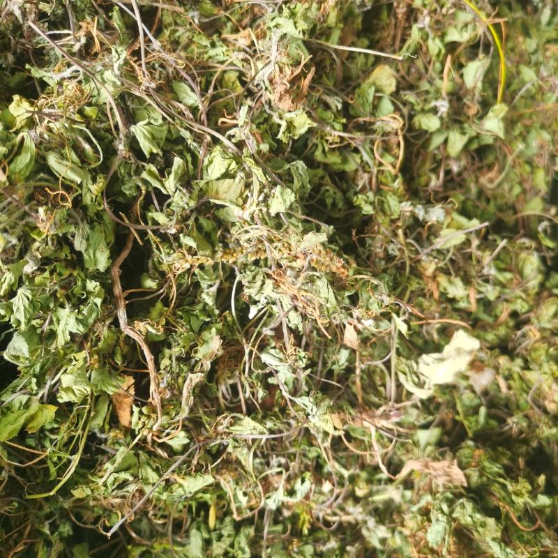 积雪草，雷公根，新货颜色漂亮，量大优惠