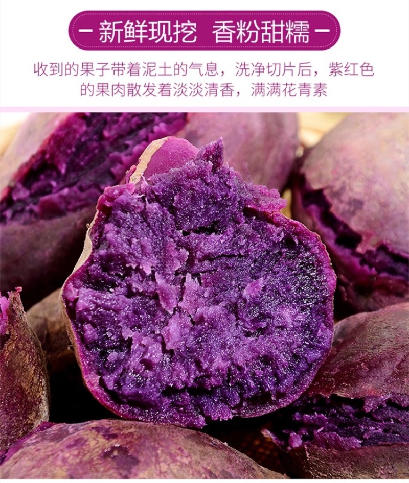 广东紫薯新鲜现挖紫心紫罗兰红薯2斤5斤10斤