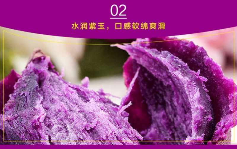 广东紫薯新鲜现挖紫心紫罗兰红薯2斤5斤10斤