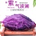 广东紫薯新鲜现挖紫心紫罗兰红薯2斤5斤10斤