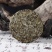 福鼎白茶2019年二级荒野牡丹饼300克