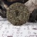 福鼎白茶2019年二级荒野牡丹饼300克