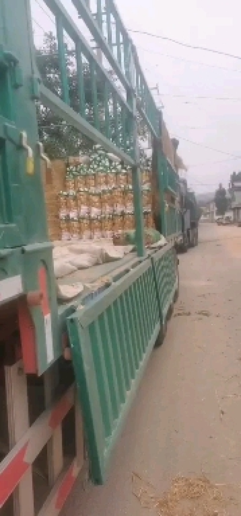泗水县优质荷兰土豆大量出售中～～～～～～～～～～～