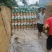 泗水县优质荷兰土豆大量出售中～～～～～～～～～～～