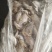 毛片鱼饲料鱼船冻陆冻水产养殖饲料螃蟹养殖