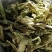 小野笋干