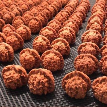 文玩核桃官帽四座楼狮子头麻核桃批发满天星白狮子散货批发