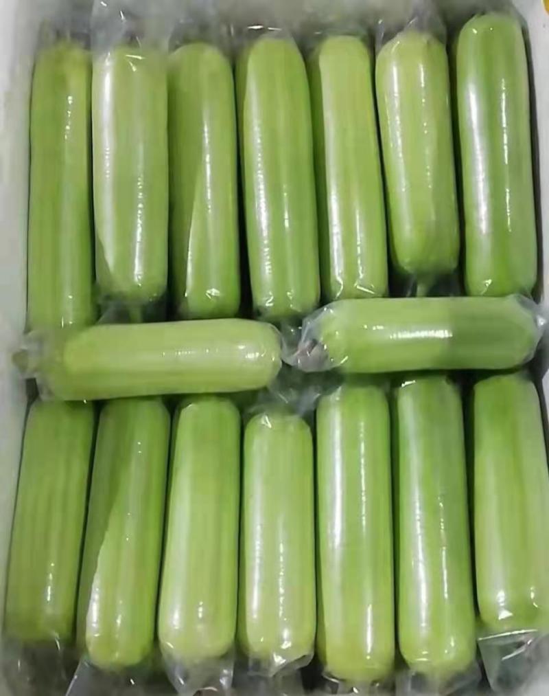 白玉兰丝瓜