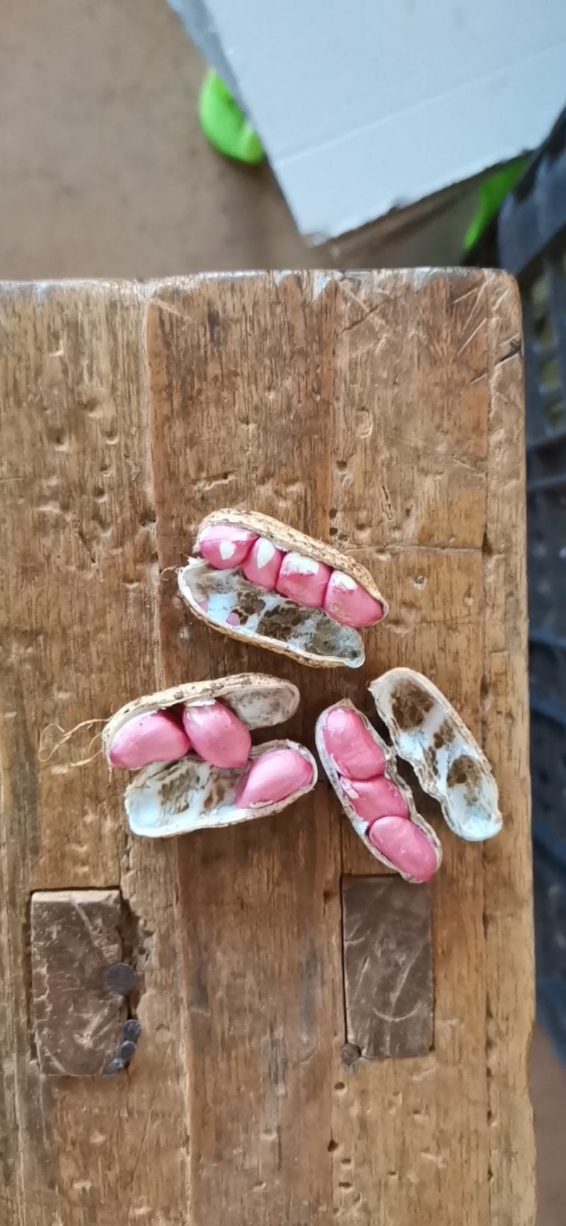 徐闻县精品花生