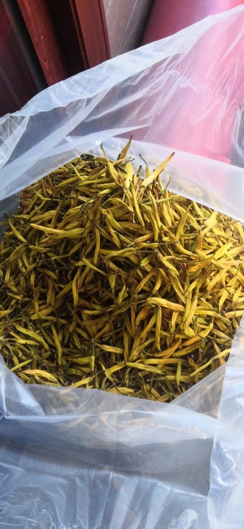 金针花（黄花菜）