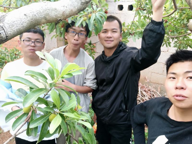 石屏荸荠杨梅