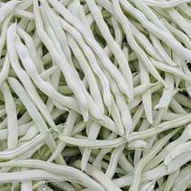 精品白芸豆，白不老豆角产地大量上市，条长20公分以上，