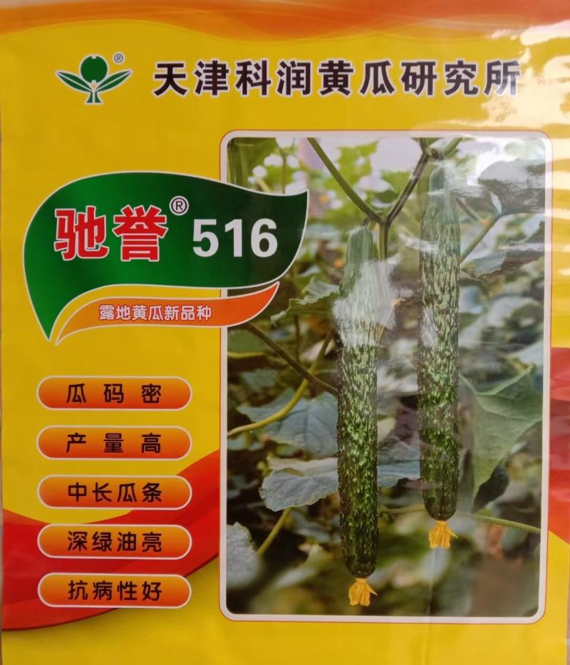 良种中心/黄瓜种子/密刺黄瓜/油亮把短/春秋黄瓜/强雌性