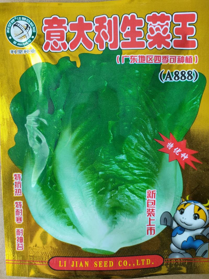 耐热耐抽苔生菜种子四季生菜种子意大利生菜种子半包心