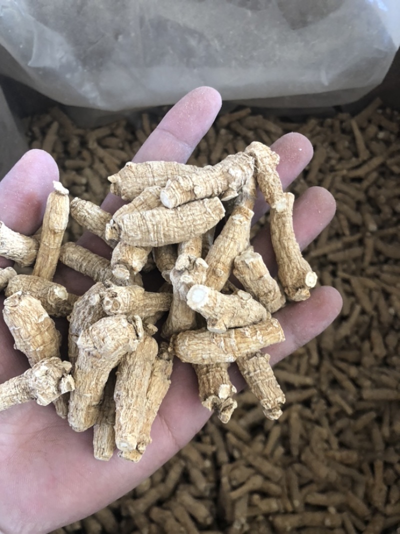 西洋参三克两面西洋参足干参两头切面价格实惠