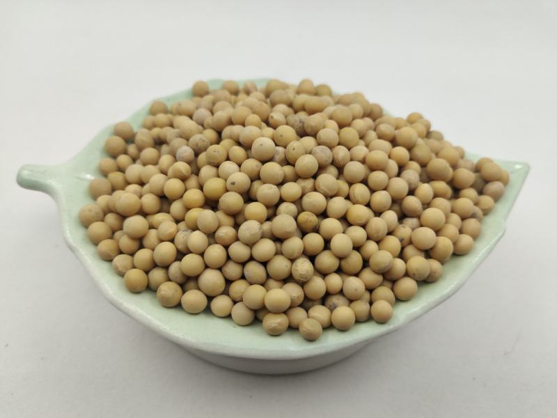 黄芽豆芽豆小粒黄豆发芽率高。品质保证