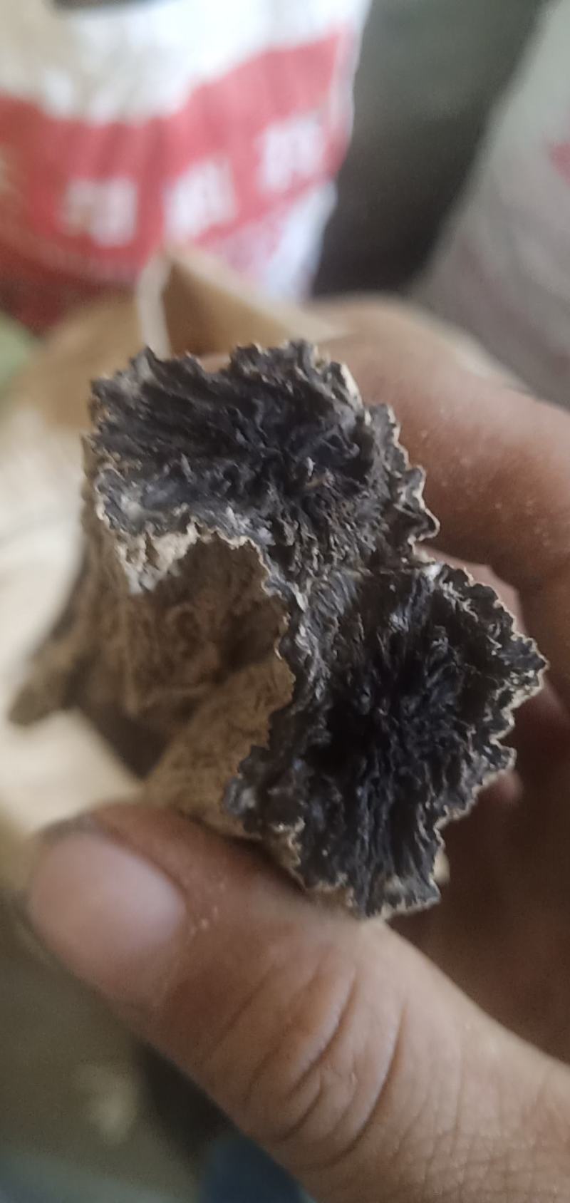 玄参十吨通货