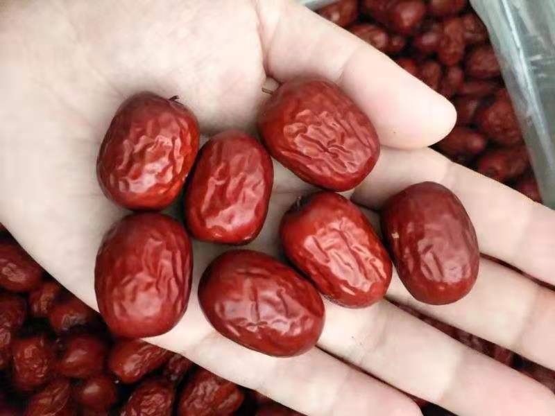 一张圆形木质餐盘中摆放着少量奶枣(3颗)、一小把坚果、几片苹果和一杯无糖酸奶,旁边放有克重秤显示30g,整体构图传达‘适量+均衡’的健康零食理念 健康零食搭配示意图