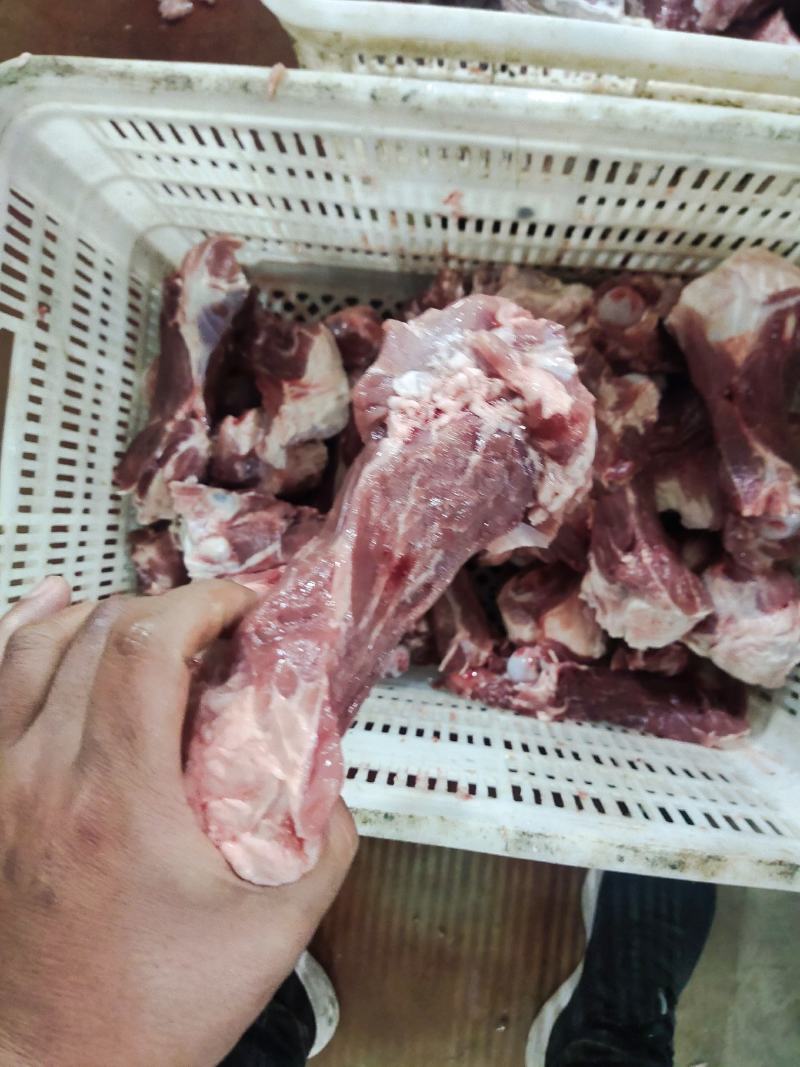 后棒骨，国产多肉后腿骨，一件12根左右，国标产品