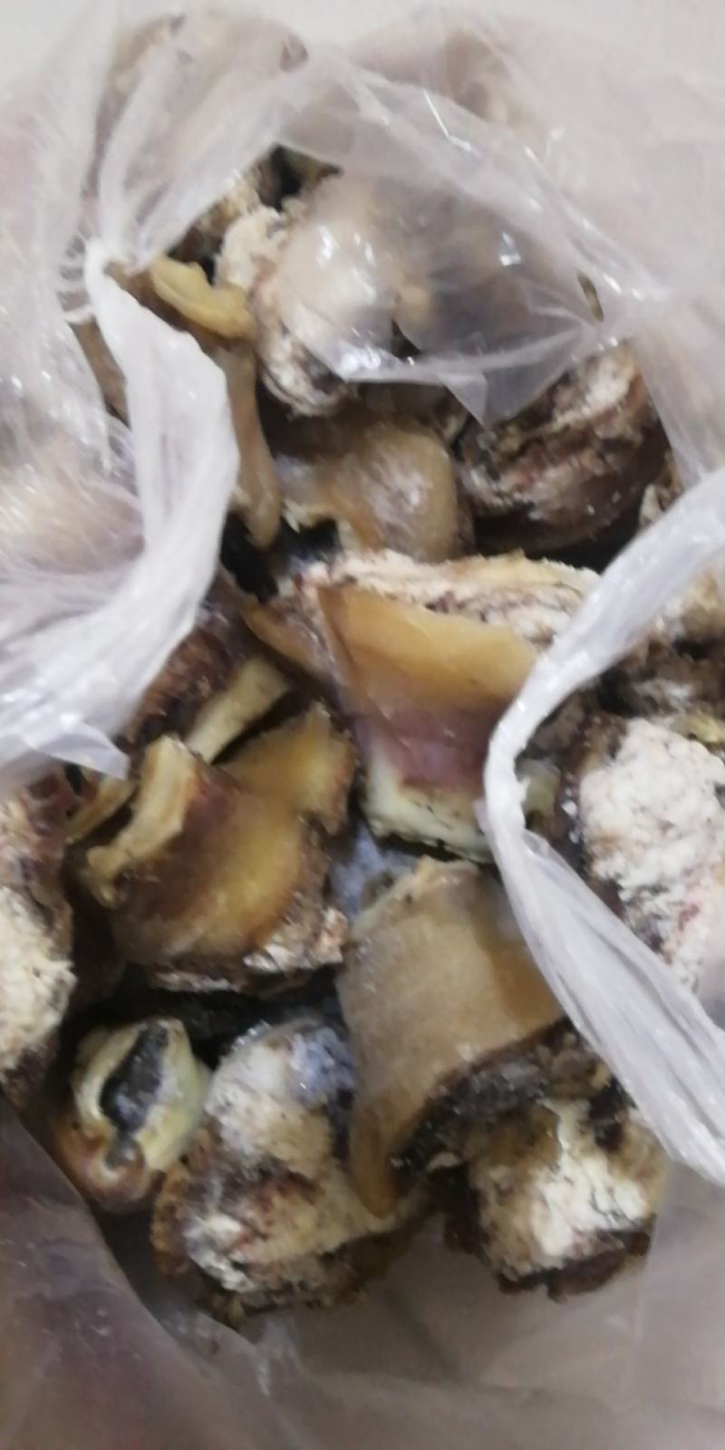 熟牛耳根，牛耳朵满满的肉，质量保证，一手货源