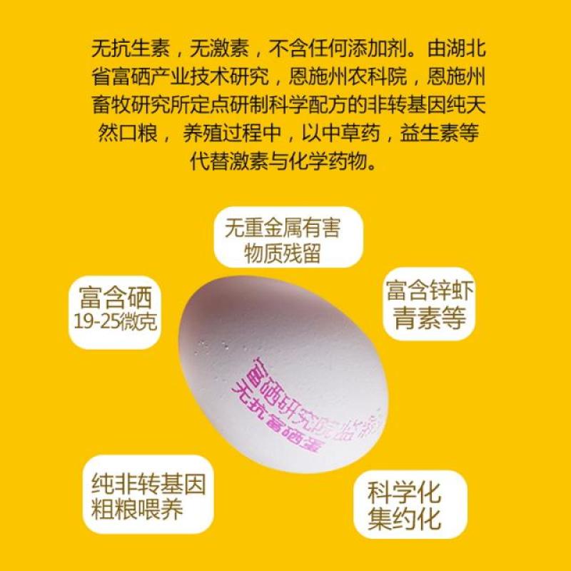 恩施富硒无抗鸡蛋
