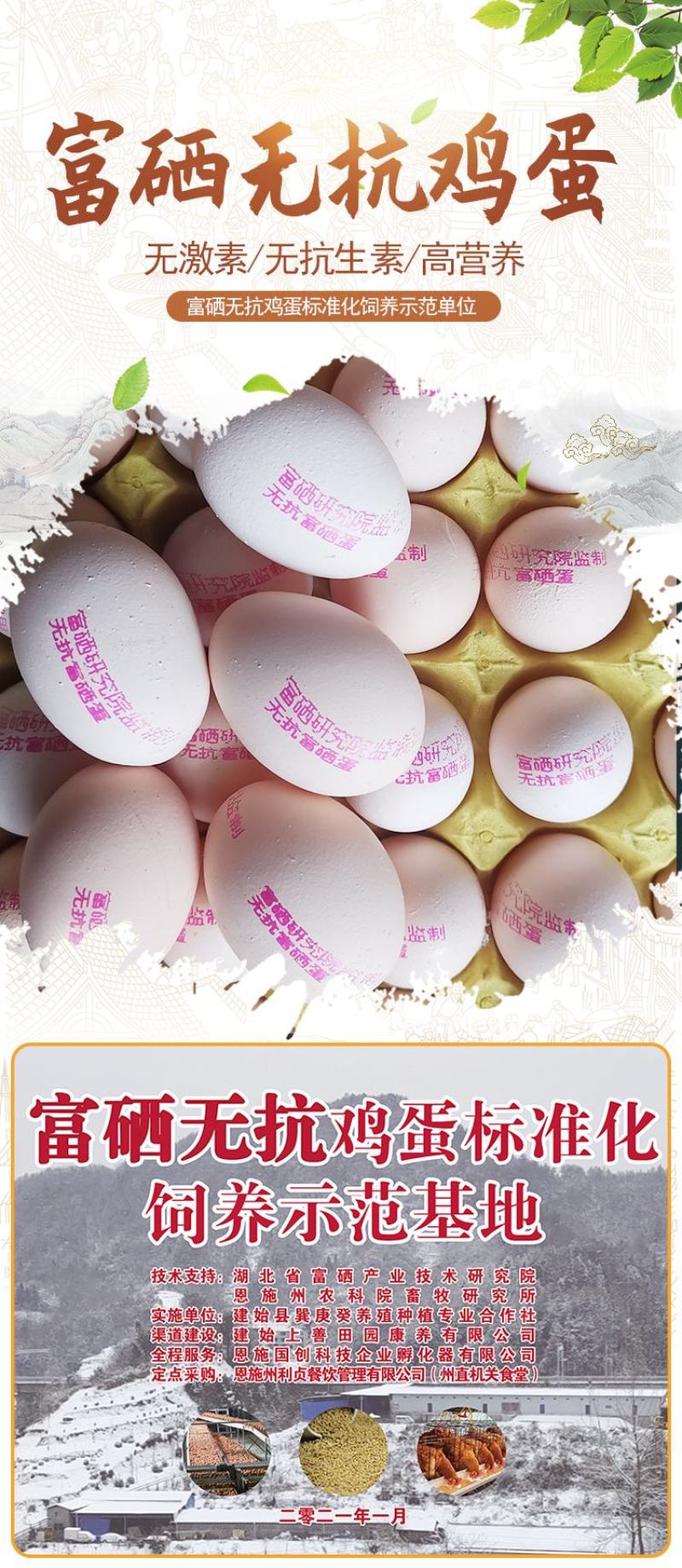 恩施富硒无抗鸡蛋