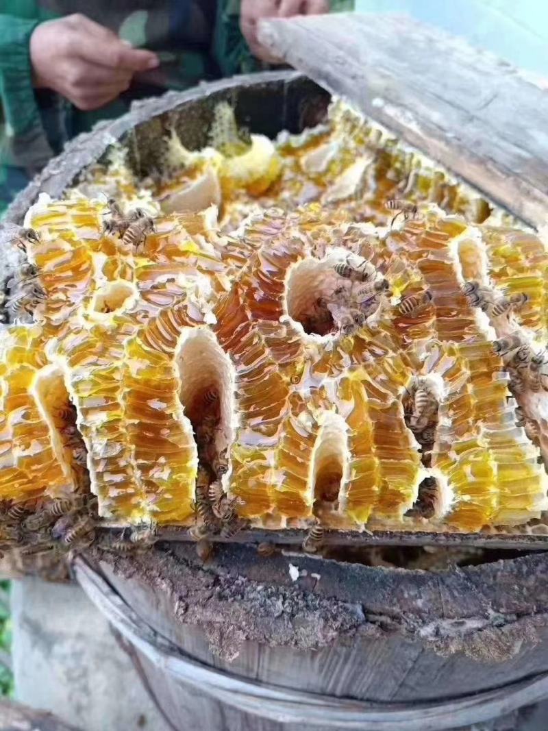 恩施高山蜂蜜