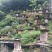 恩施高山蜂蜜