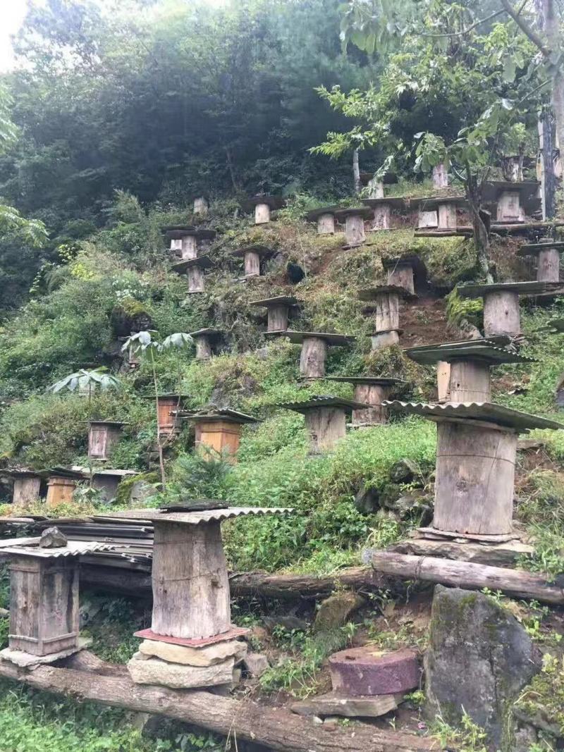 恩施高山蜂蜜