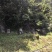 恩施高山蜂蜜
