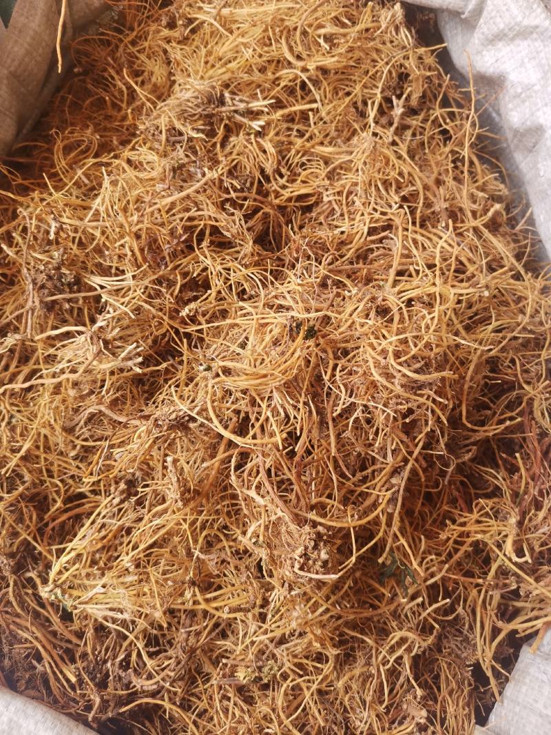 辽宁龙胆草云南龙胆草规格齐全无硫货干无杂量大从优