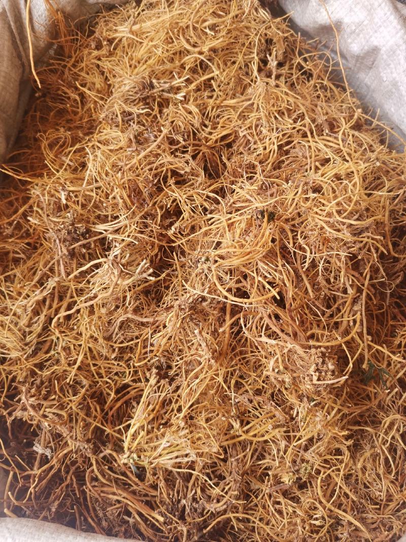 辽宁龙胆草云南龙胆草规格齐全无硫货干无杂量大从优