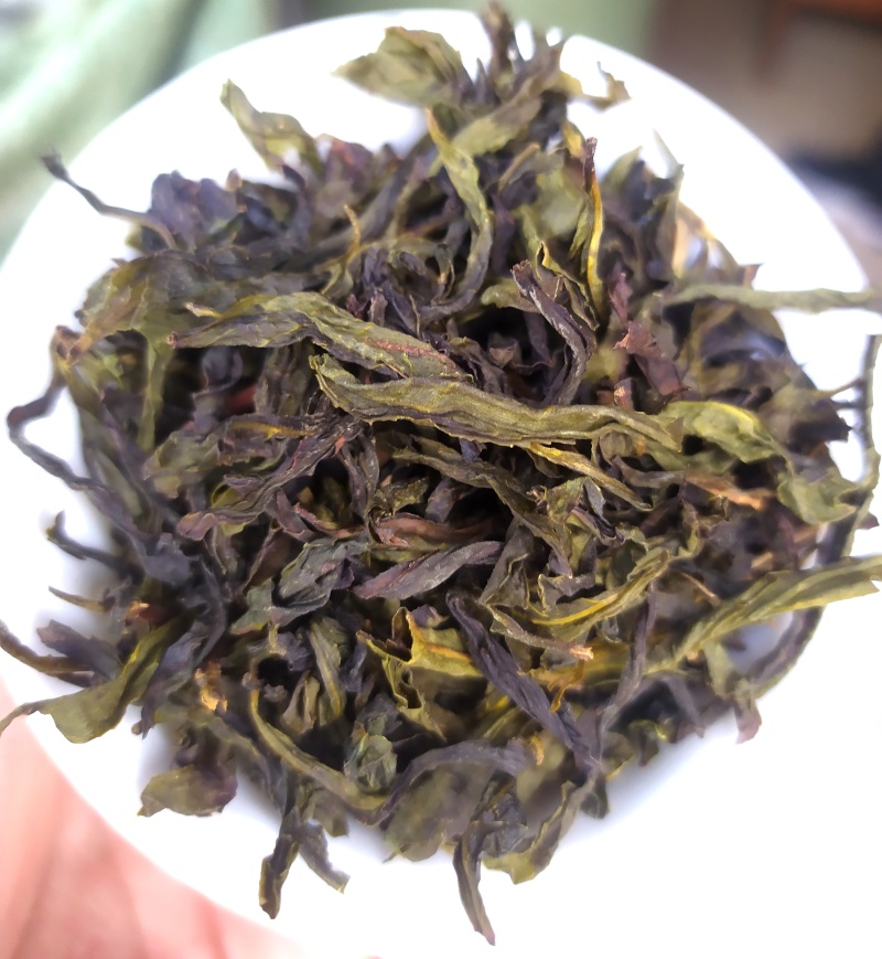诏安茗茶八仙黄旦茶叶大坪土山茶福建高山茶清香型黄旦乌龙茶