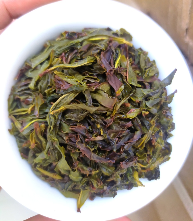 诏安茗茶八仙黄旦茶叶大坪土山茶福建高山茶清香型黄旦乌龙茶