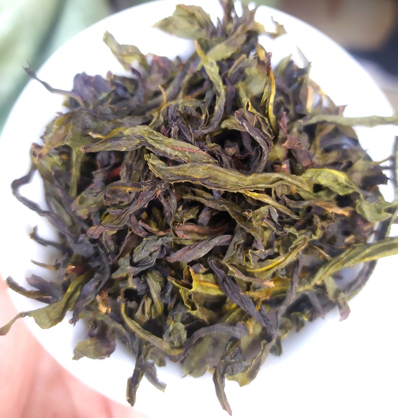 诏安茗茶八仙黄旦茶叶大坪土山茶福建高山茶清香型黄旦乌龙茶